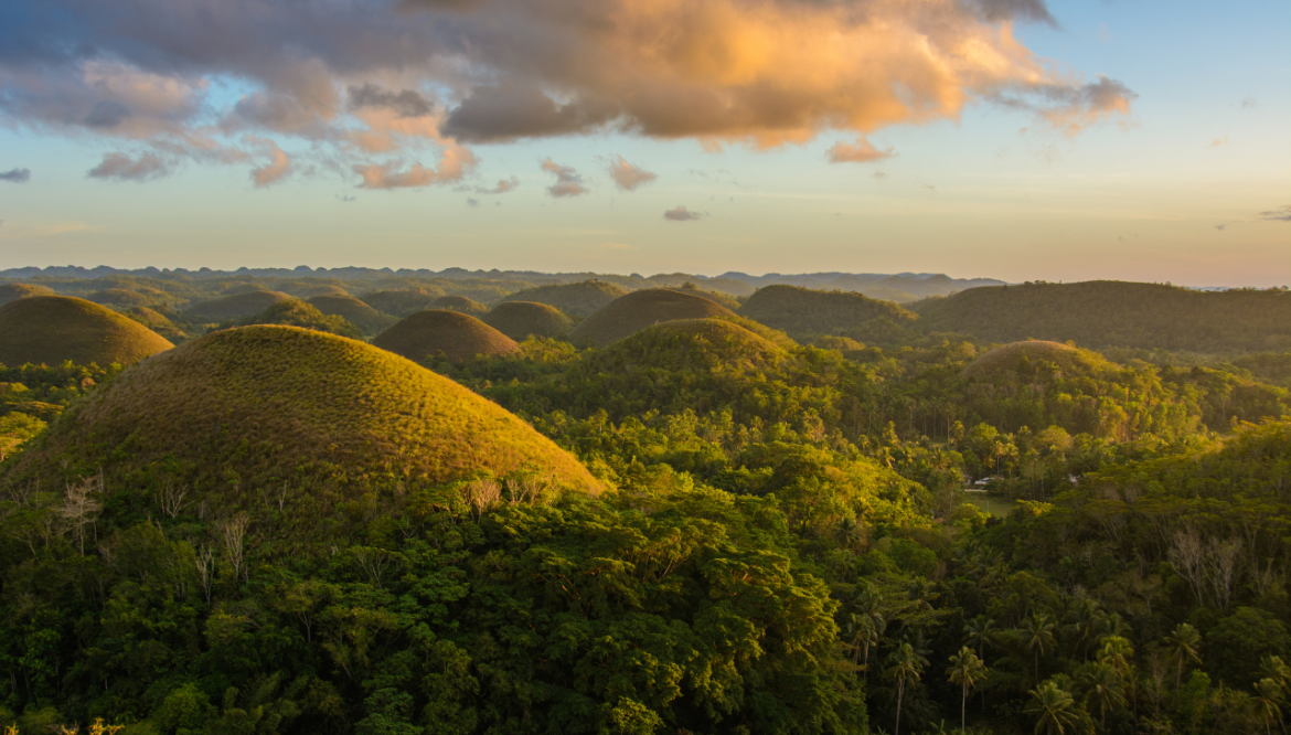 Bohol Tour